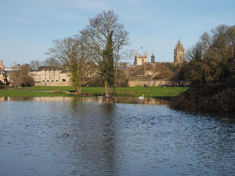Cambridge, England: Sheep's Green: pond, looking towards Peterhouse