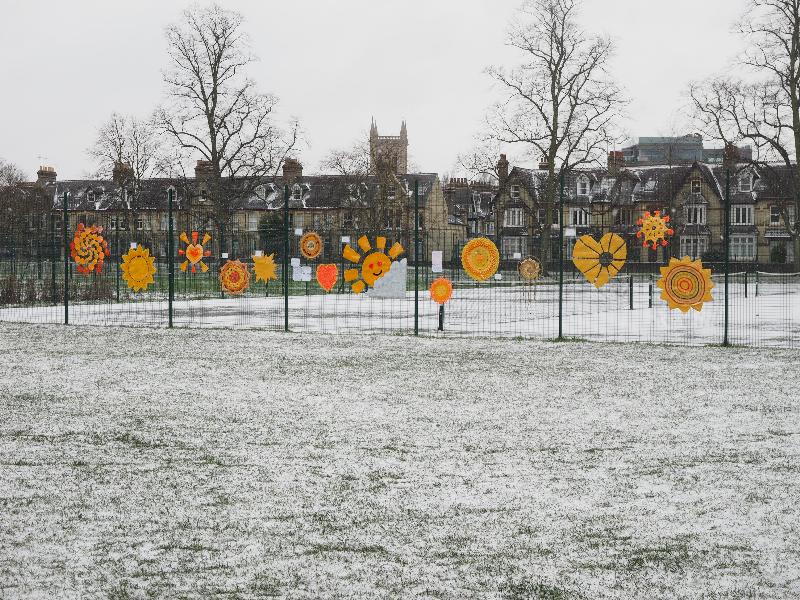 Cambridge, England: Jesus Green: sunny yarnbombs radiant in the snow