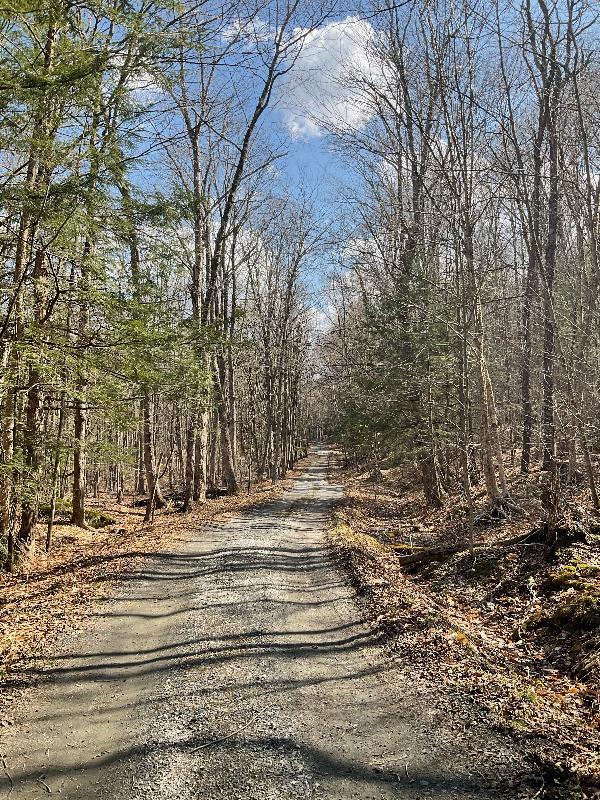 Plainfield, Massachusetts (MA): River Road: view down road