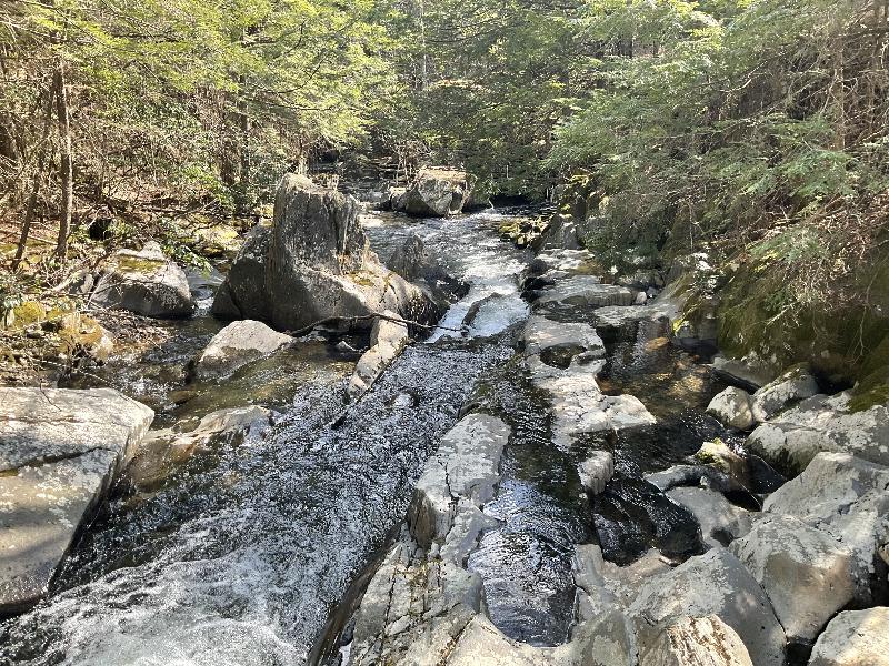 Plainfield, Massachusetts (MA): Mill Brook: view downstream at the Baths