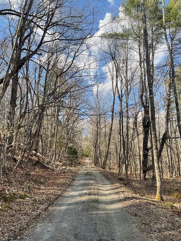 Plainfield, Massachusetts (MA): River Road: view up road
