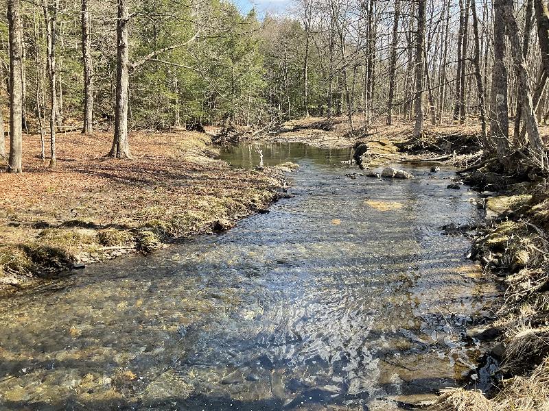 Plainfield, Massachusetts (MA): Mill Brook: view, early spring
