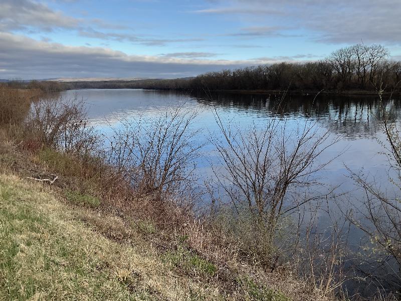 Hadley, Massachusetts (MA): Connecticut River: view, early spring