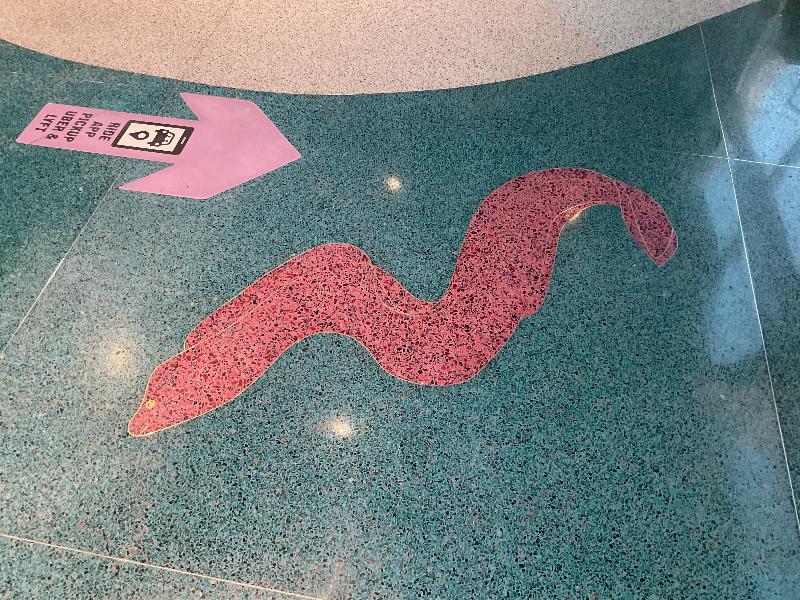 Boston, Massachusetts (MA): Logan Airport, Terminal E: eel design in floor
