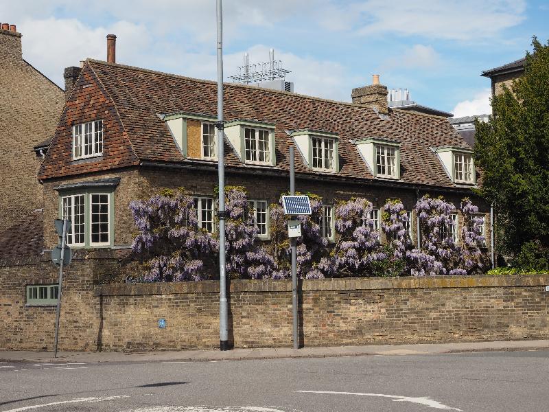 Cambridge, England: Trumpington Street: wisteria