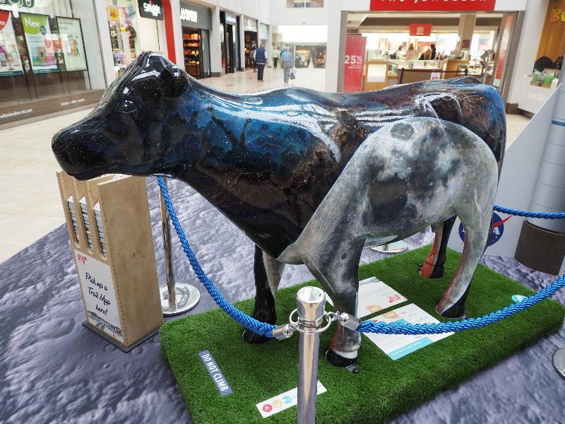 Cambridge, England: Lion Yard: The Moooon (Hannah Nelson)