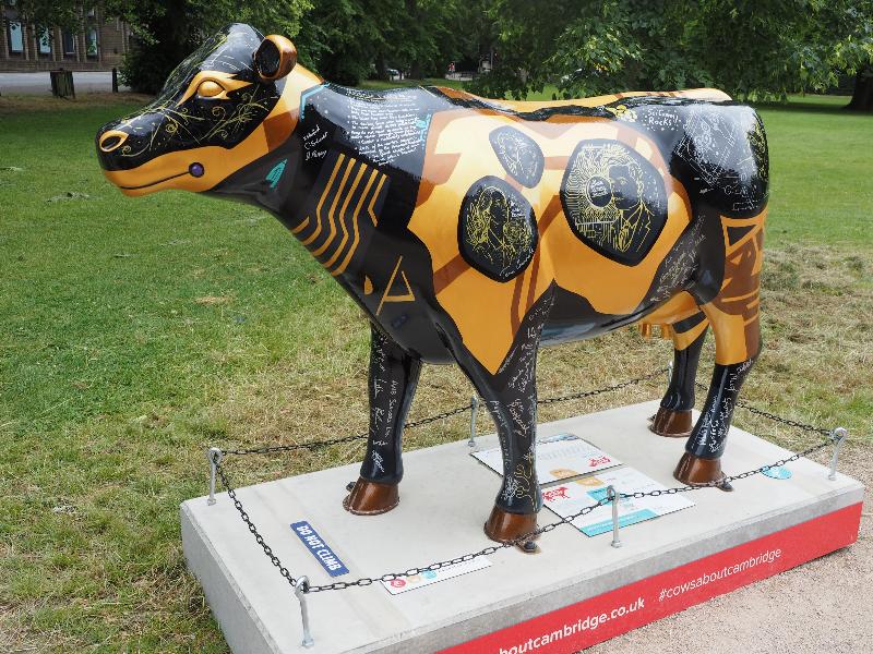 Cambridge, England: Queens' Green: STEM Cow (Kelly Stanford)