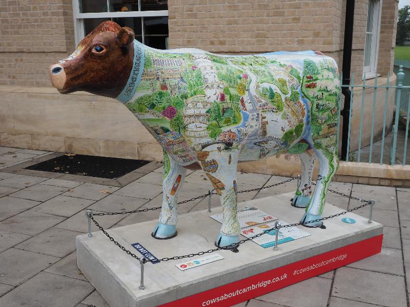 Cambridge, England: University Arms Hotel: Cowbridges (Glynn Thomas RE)
