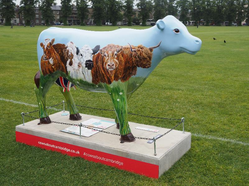 Cambridge, England: Parker's Piece: Monty Rushmoo (Jina Gelder)