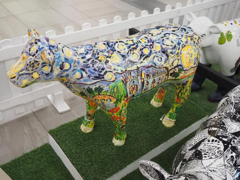 Cambridge, England: The Grafton: Starry Starry Moo (Trumpington Park Primary School)