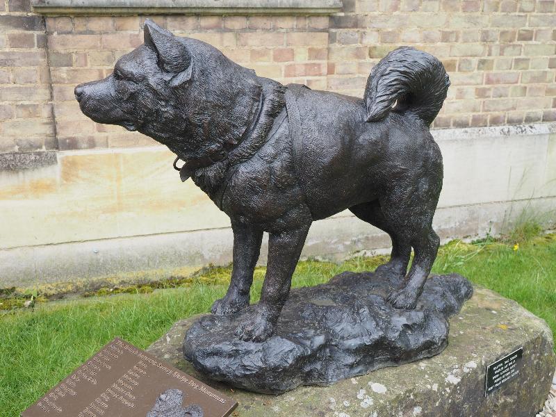Cambridge, England: The Polar Museum: British Antarctic Survey Sledge Dog Monument (2009, David Cemmick, sited here 2015)