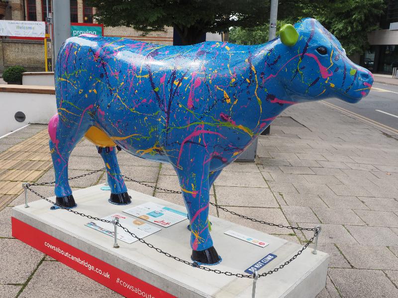Cambridge, England: Anglia Ruskin University: Art Attack Splat (Rowan)