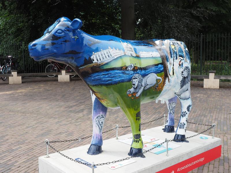 Cambridge, England: Hills Road: Wandering Lions (Karis Youngman)