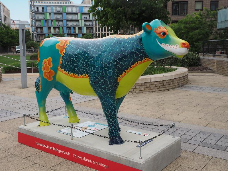 Cambridge, England: Mill Park: Mooshu (Jessica Perrin)