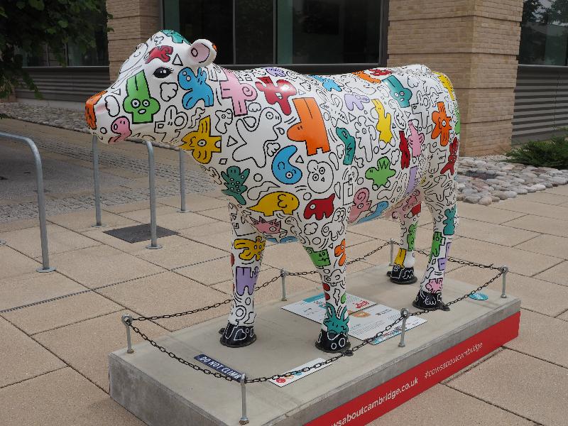 Cambridge, England: Cambridge Assessment: Moodle Yoodle (Tori Woolley aka The Pnk Hare)