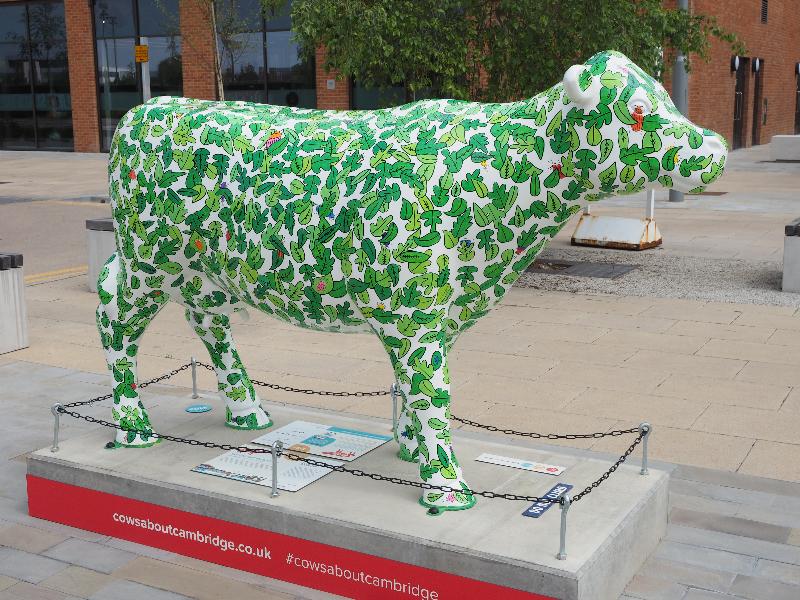 Cambridge, England: Cambridge North Railway Station: Can You Find 100 Beetles (Sasha DeWitt Studios)