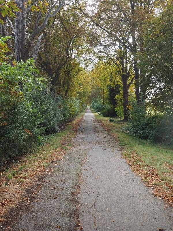 Cambridge, England: off Huntingdon Road: old farm road
