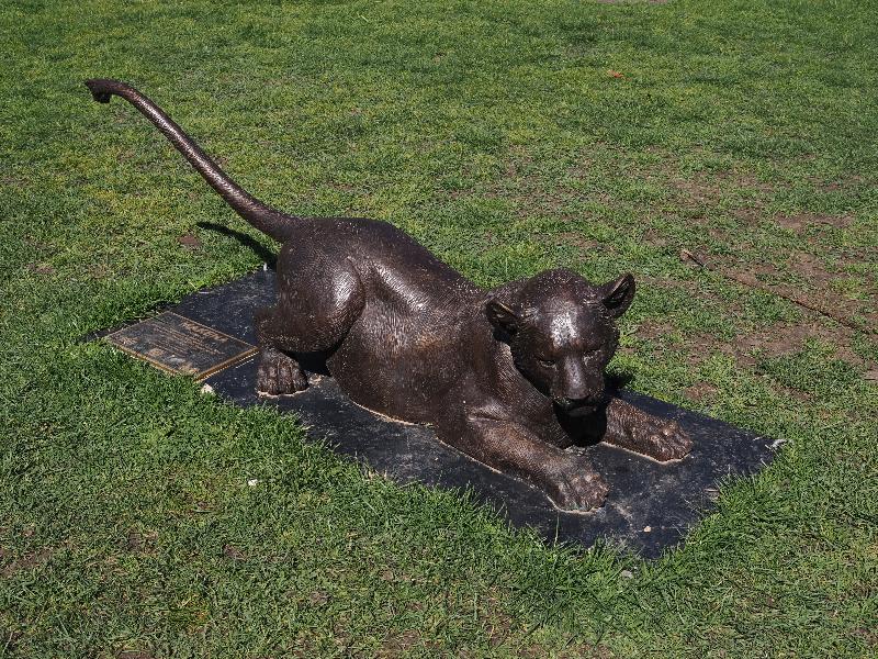 London, England: Waterloo Millennium Green: Makena (No. 5) (Born Free Foundation, Gillie and Marc)