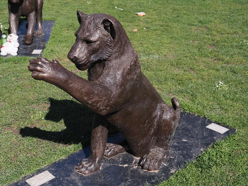 London, England: Waterloo Millennium Green: King (No. 4) (Born Free Foundation, Gillie and Marc)