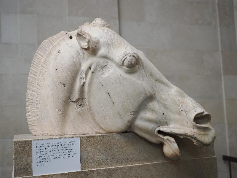 London, England: British Museum: Parthenon, horse's head (East Pediment O)