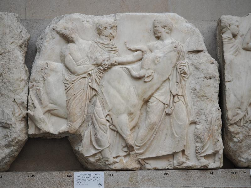 London, England: British Museum: Parthenon, youth leading heifer (South Frieze XLIV)