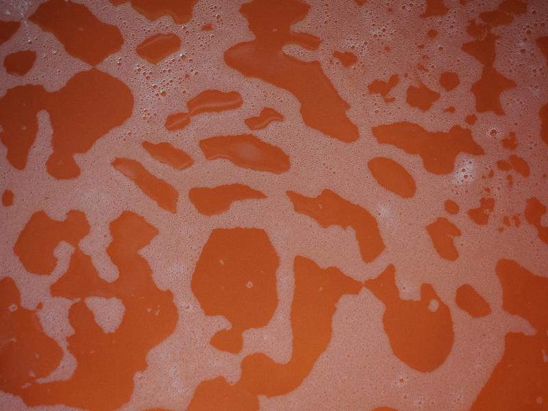 Cambridge, England: Roseford Road: soap bubbles on water
