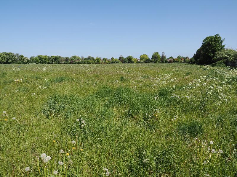 Cambridge, England: Eddington: view towards Huntingdon Road (east paddock)