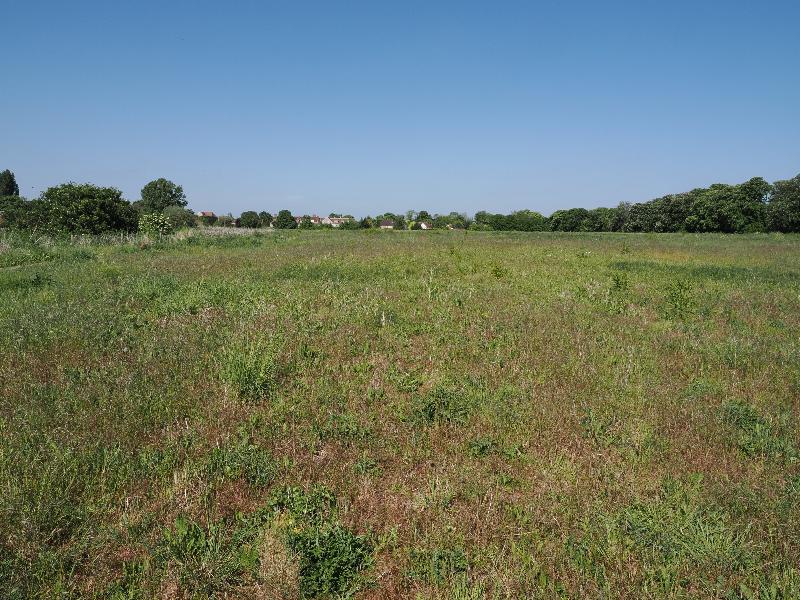 Cambridge, England: Eddington: view towards Huntingdon Road (west paddock)