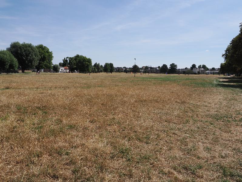 Cambridge, England: Midsummer Common: dry field