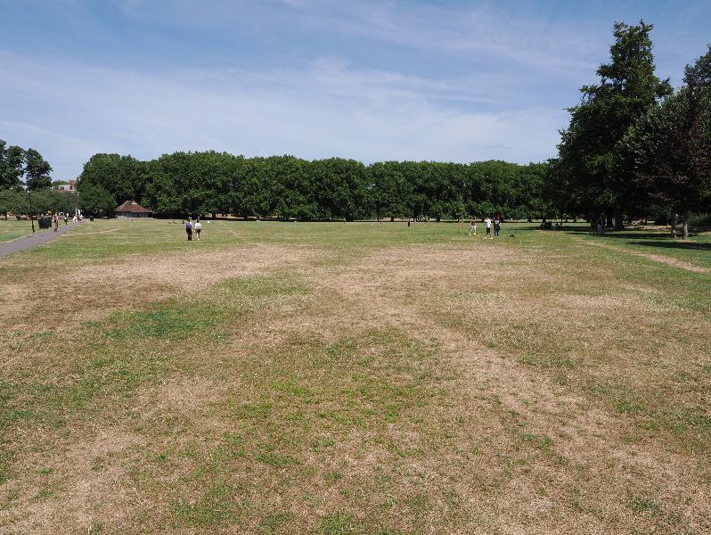 Cambridge, England: Jesus Green: dry field