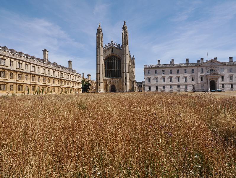 Cambridge, England: King's College: chapel, dry wildflower meadow