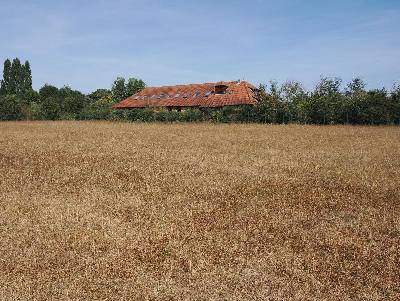 Cambridge, England: Eddington: dry field (view towards UN building)