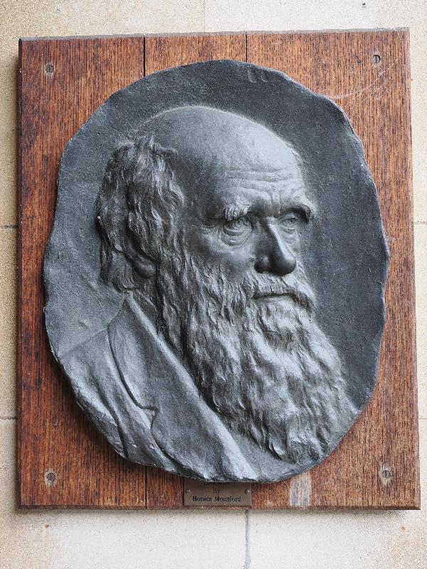 Cambridge, England: Christ's College: Charles Darwin relief (Horace Montford)