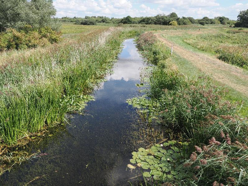 Upware, England: Burwell Lode: waterway