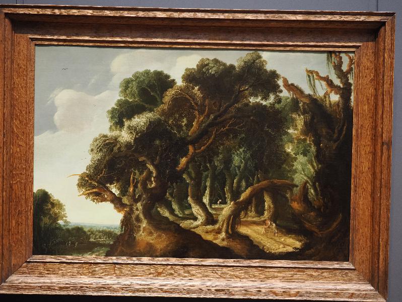 Amsterdam, Netherlands: Rijksmuseum: Wooded Landscape (ca. 1633, Jacob Jacobsz van Geel)