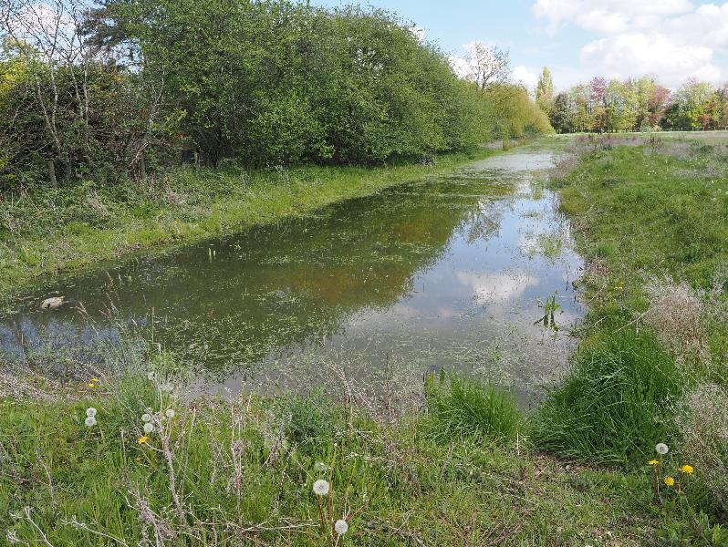 Cambridge, England: Eddington: east paddock pond