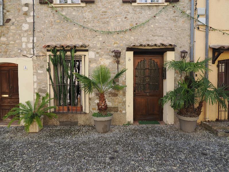 Cagnes-sur-Mer, France: Place Grimaldi: cactus, cycad and palm