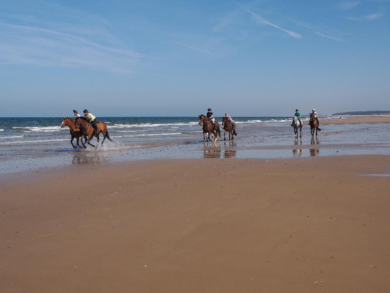 Wells-next-the-Sea, England: beach: horses on beach