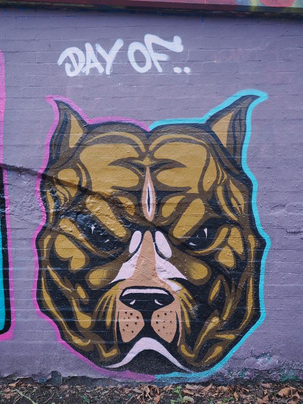 Cambridge, England: Mill Road: bulldog