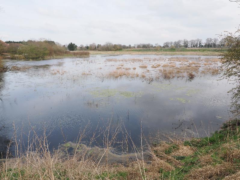 Cambridge, England: Eddington: large temporary pond from all the rain