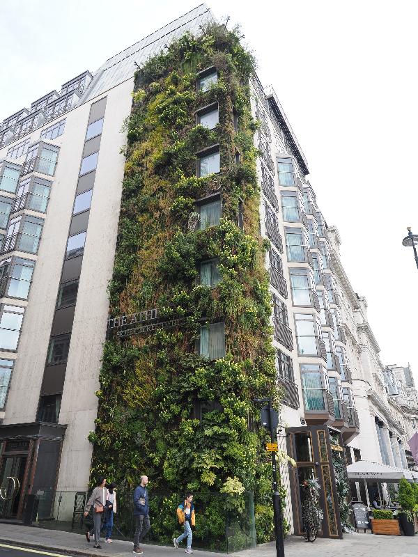 London, England: The Athenaeum Hotel & Residences: green facade