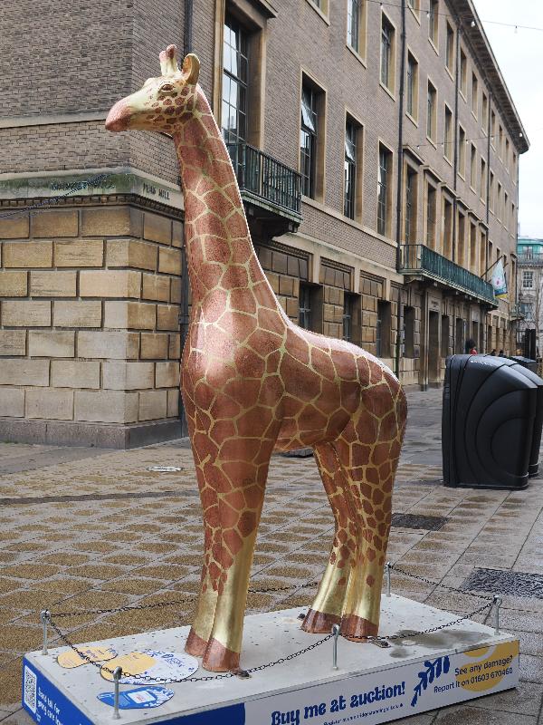 Cambridge, England: Peas Hill: Carat (Daniel Bland)