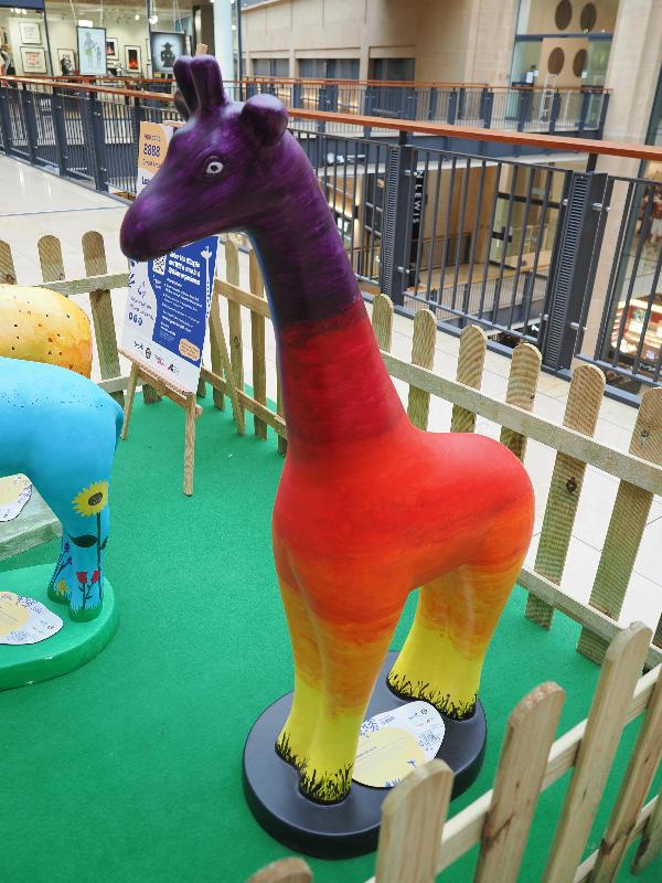 Cambridge, England: Grand Arcade: Sunset Giraffe (St. Laurence Catholic Primary School)