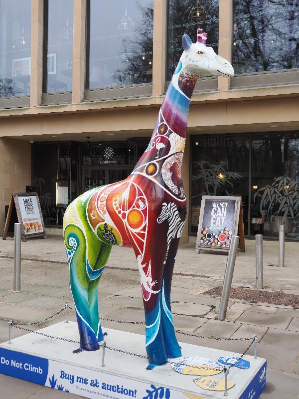Cambridge, England: Christ's Pieces: Go Wild (Illona Clark)