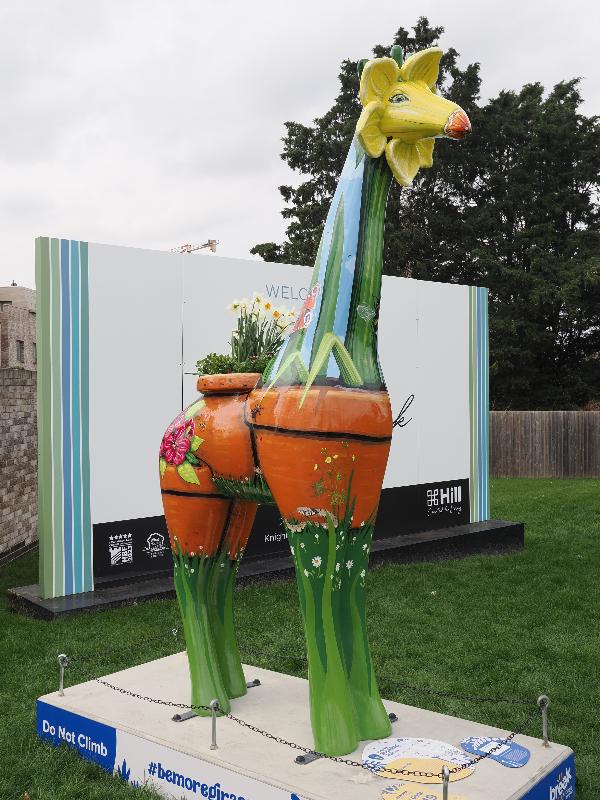 Cambridge, England: Eddington Avenue: The Giraffodil (Sally Adams)