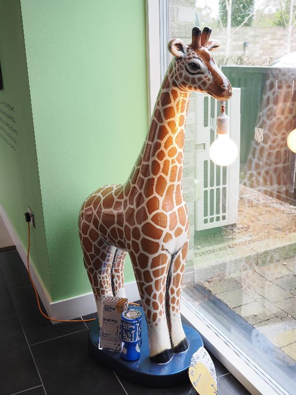Cambridge, England: Kinghts Park sales office: Giraffa Lampada (Sally Adams)