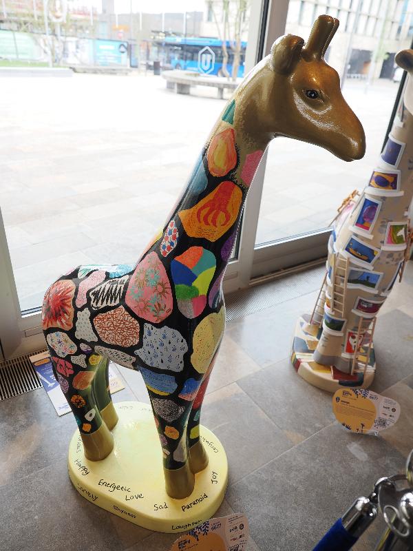 Cambridge, England: Storey's Field: Feeling Herd (SCSC Break Young People)