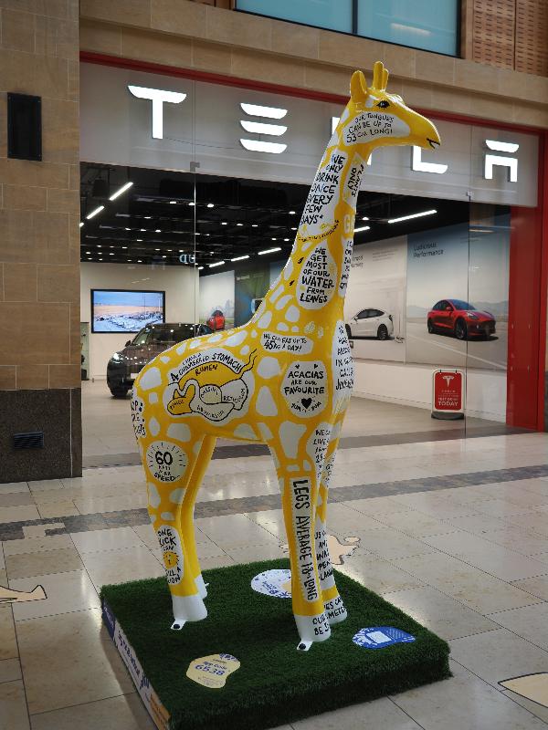 Cambridge, England: Grand Arcade: Gina Giraffacts (Anne-Marie Miller)