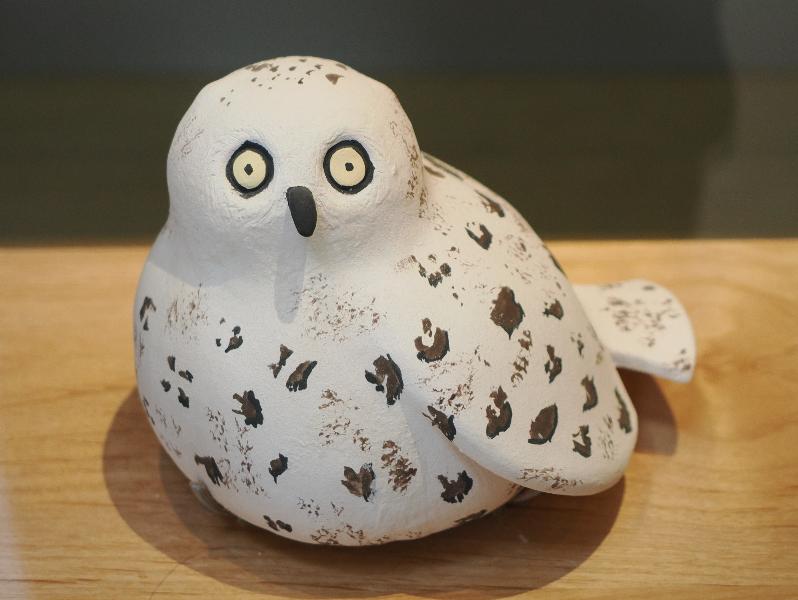 Flagstaff, Arizona (AZ): Museum of Northern Arizona: Muhu kwi (Snow Owl) (Devan Lalio, Zuni High School)