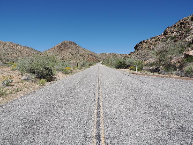 Joshua Tree National Park, California (CA): Cottonwood Springs Road: view up road